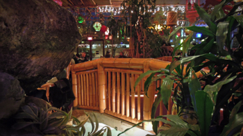 Footbridge over the turtle pond