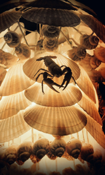 Scorpion on a shell lamp