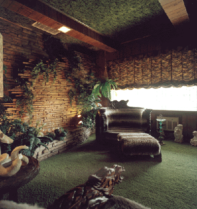 Jungle Room